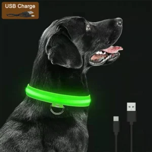 Coleira LED Recarregável USB para Cães – Alta Visibilidade Noturna