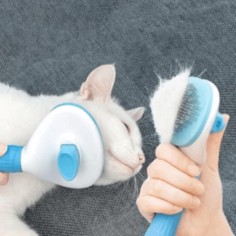 Escova Desembarçadora Para Cães e Gatos Escova Desembarçadora Para Cães e Gatos